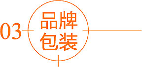 濟(jì)南設(shè)計公司_標(biāo)志logo設(shè)計_VI設(shè)計_濟(jì)南品牌包裝設(shè)計公司
