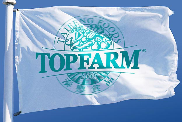 泰豐食品品牌設計—旗幟設計